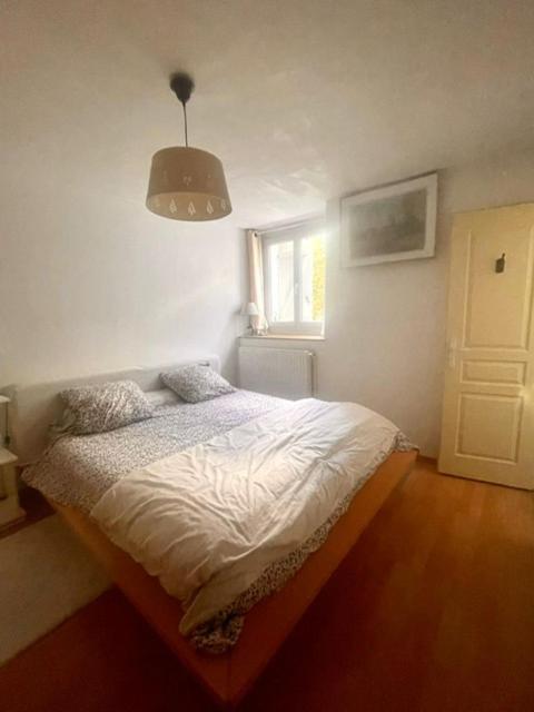 Apartmán Les Lucioles Thonon-les-Bains Exteriér fotografie
