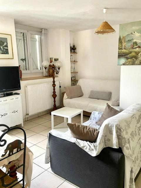 Apartmán Les Lucioles Thonon-les-Bains Exteriér fotografie